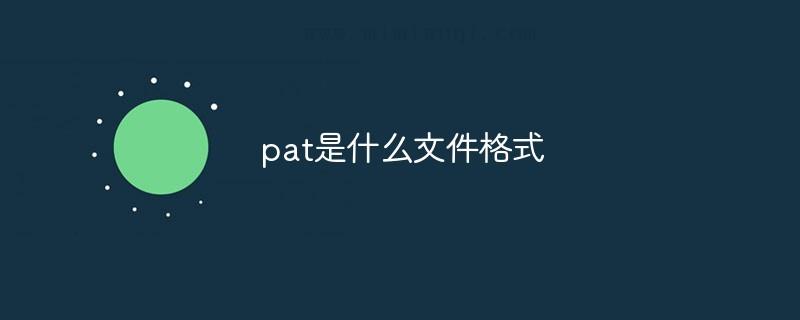 pat是什么文件格式? 1 pat是什么文件格式? 1