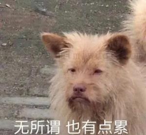 只写后台管理的前端如何提升自己? 1 只写后台管理的前端如何提升自己? 1